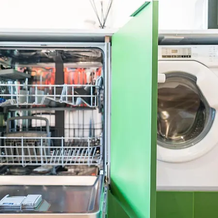 Alegria Lyfe 리스본